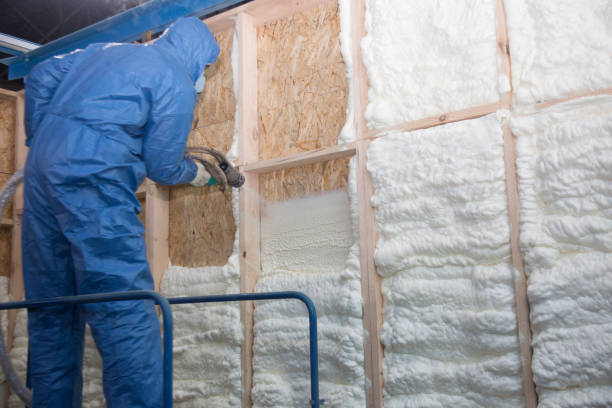 Best Attic Insulation Installation in Woodbury, NJ